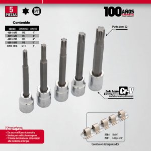 Juego de dados con punta ribe cuadro de 3/8", 5 piezas Urrea